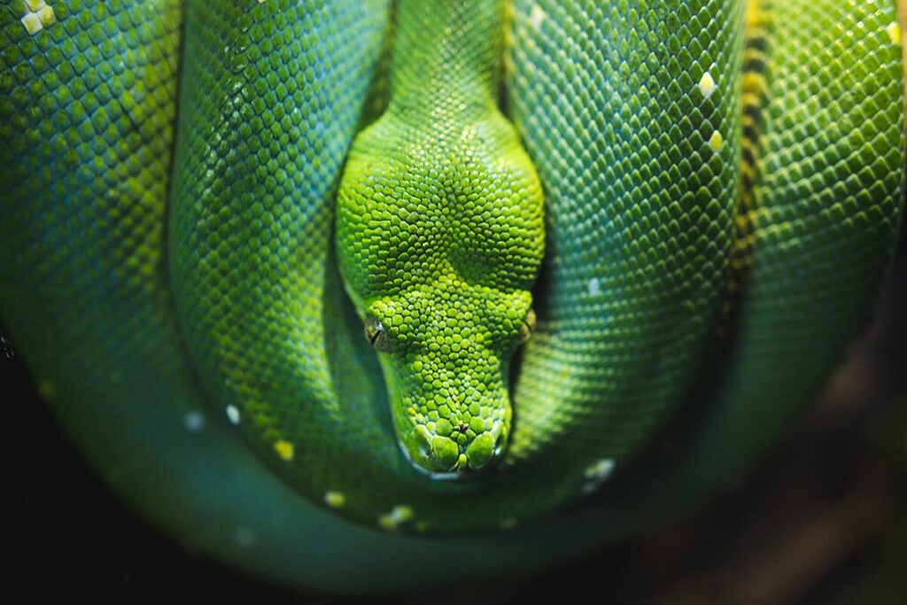 Attackers use Python compiled bytecode to evade detection